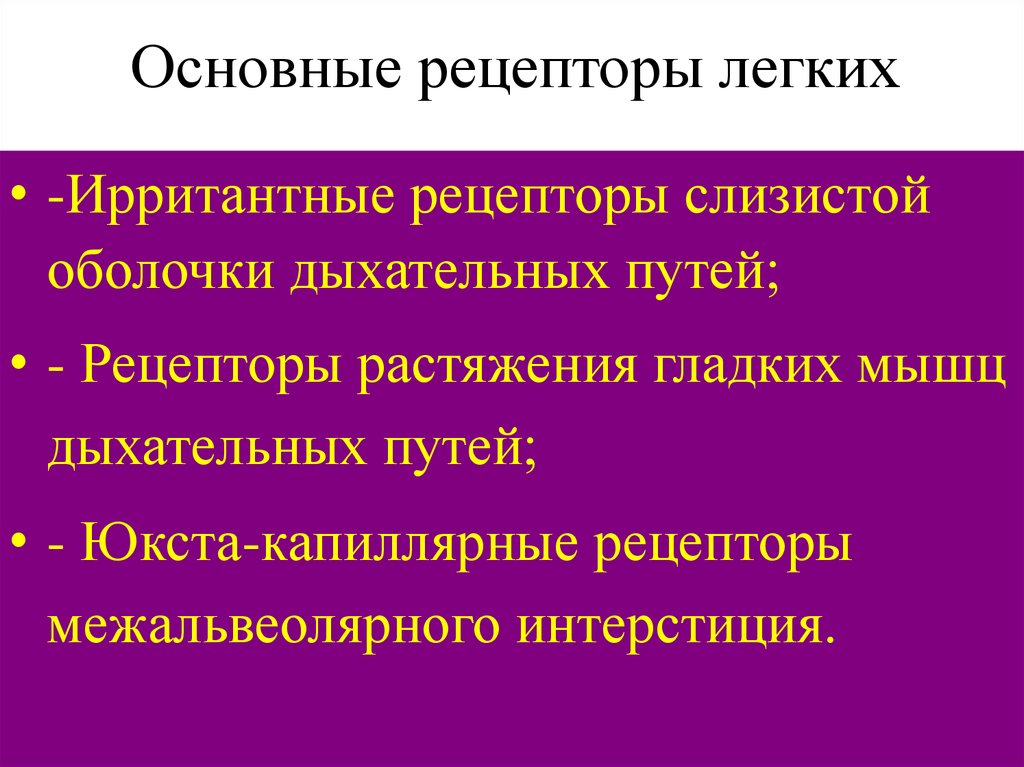 Рецепторы растяжения легких это. Рецепторы растяжения легких. Рецепторы растяжения гладких мышц дыхательных путей. Рецепторы растяжения гладких мышц дыхательных путей роль. Роль ирритантных рецепторов в регуляции дыхания.