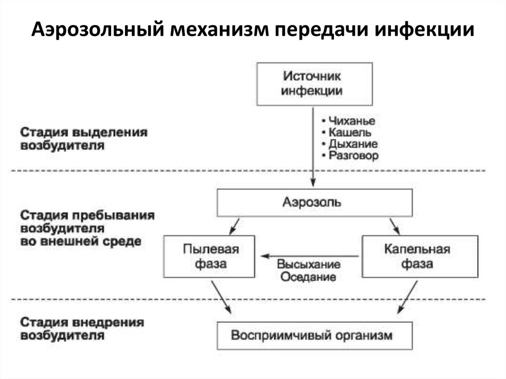 Механизмы пути. Механизм передачи возбудителя инфекции схема. Фазы механизма передачи возбудителя инфекции схема. Аэрозольный механизм передачи инфекции. Пути заражения при аэрозольном механизме передачи инфекции.