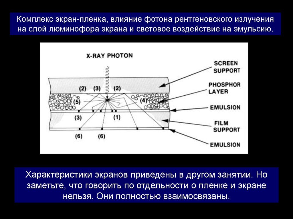 Изображение получаемое на рентгеновской пленке тест