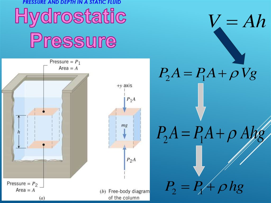 Hydrostatic Pressure. Communicating Vessels. Pascal's Principle