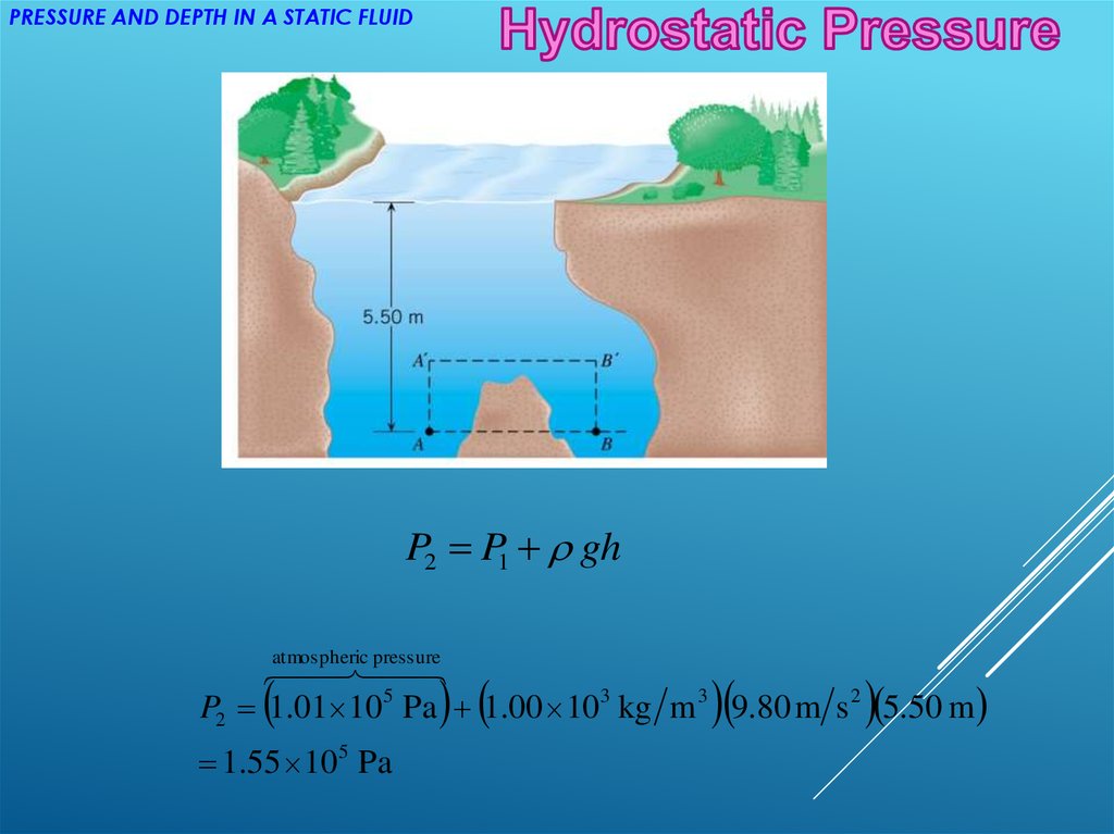 equation blood for hydraulic pressure Vessels. Pressure. Communicating Hydrostatic Pascal's