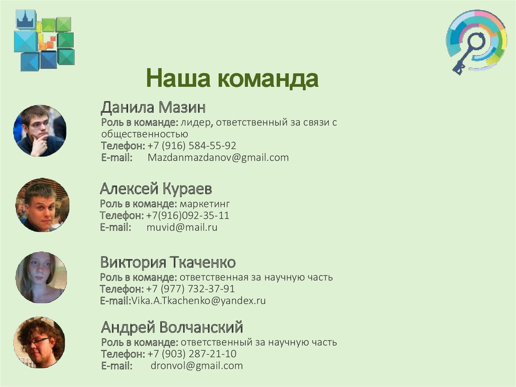 Наша команда