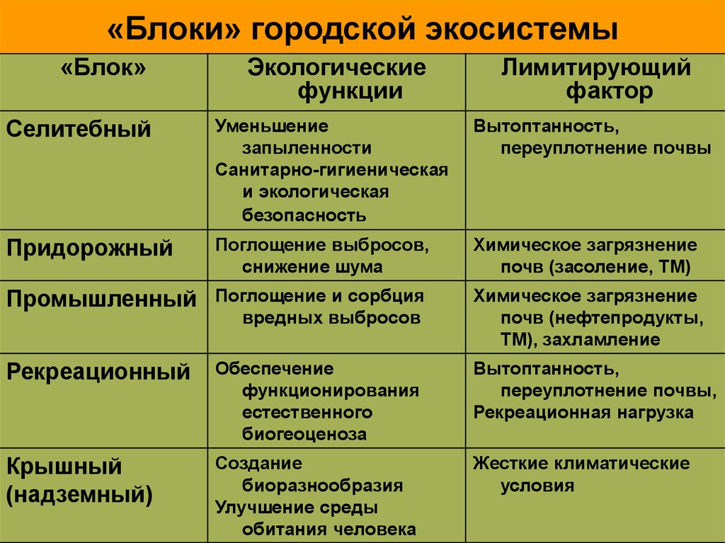 План экскурсия в биогеоценоз