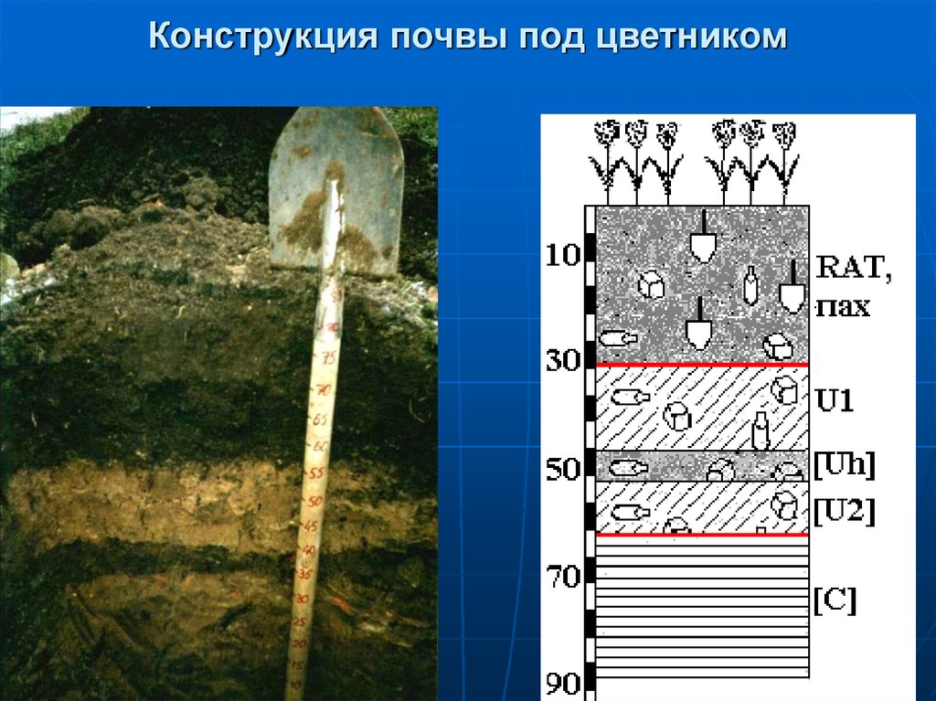 Конструкция почвы под цветником