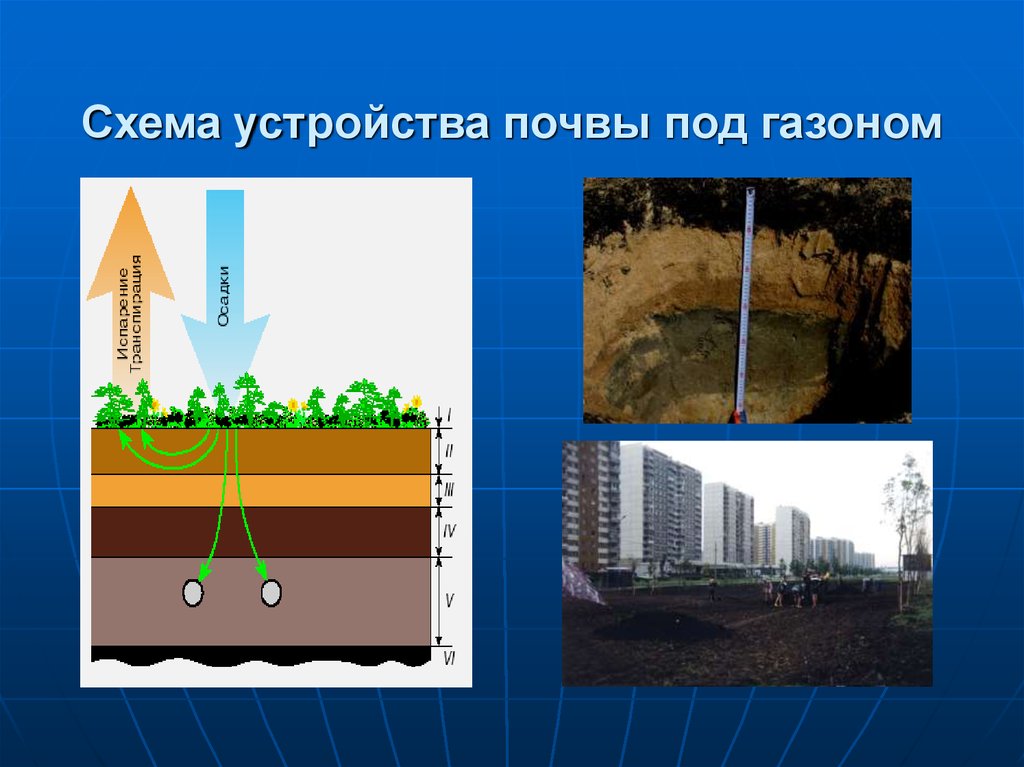 Схема устройства почвы под газоном