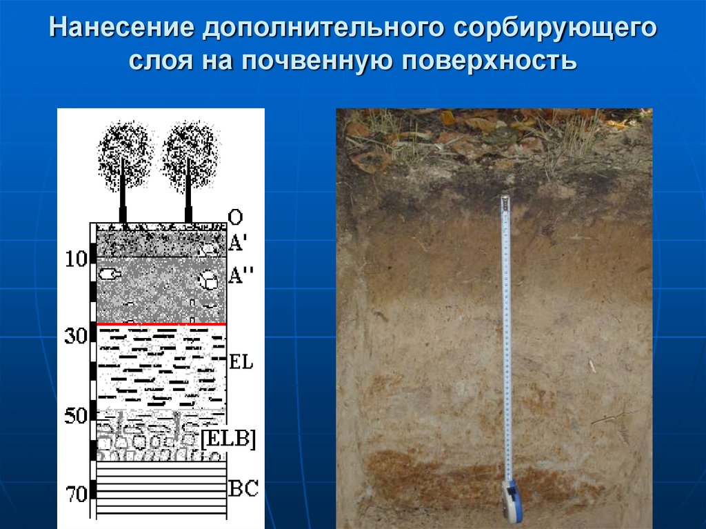 Нанесение дополнительного сорбирующего слоя на почвенную поверхность