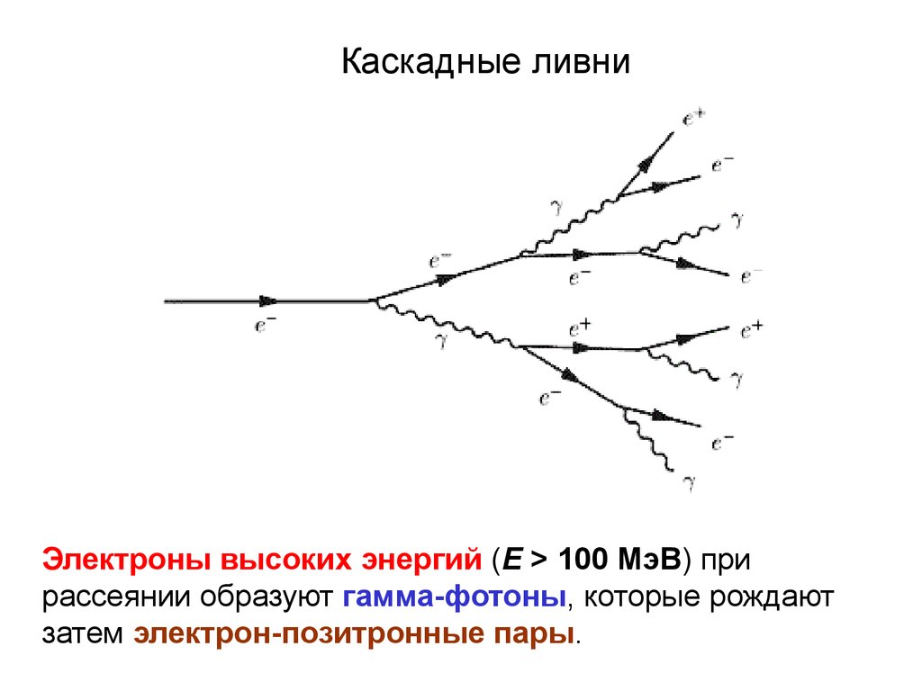 Электроны высоких энергий. Электронно фотонные ливни. Что такое каскадные ядерные ливни. Опишите схему каскадного ливня. Фотонный ливень.