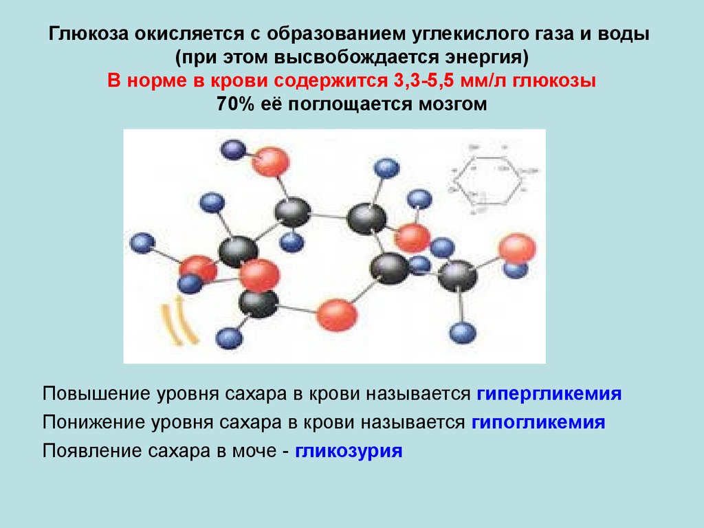 Углекислый газ глюкоза