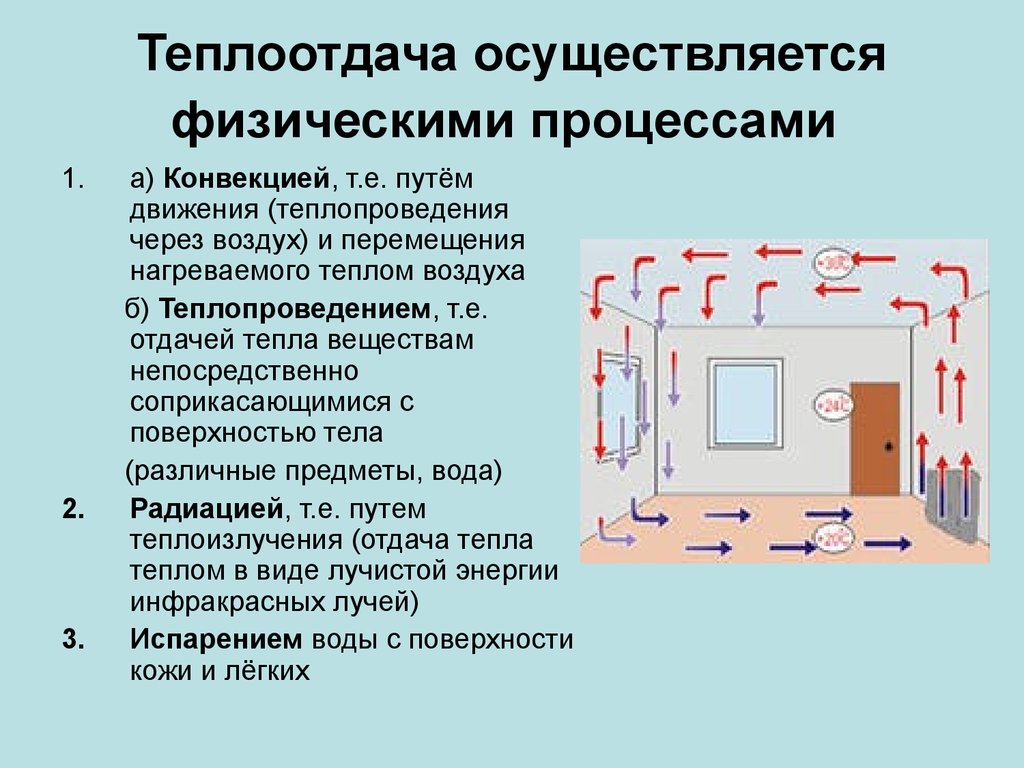 Физические процессы в организме