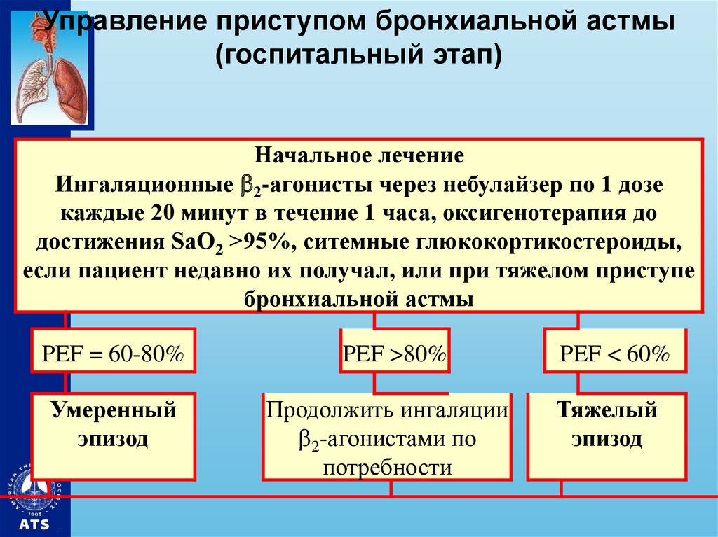 Приступ бронхиальной астмы. Терапия приступа бронхиальной астмы. Алгоритм лечения приступа бронхиальной астмы. При приступе бронхиальной астмы. Неотложная терапия при приступе бронхиальной астмы у детей.