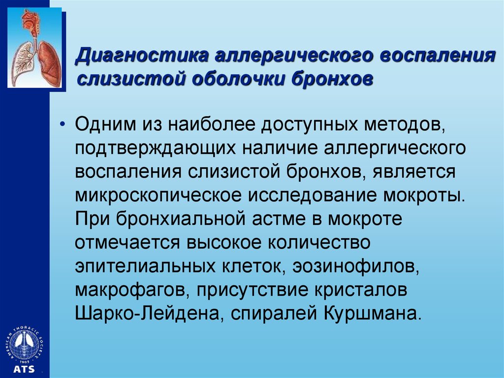 Мокрота при бронхиальной астме. Аллергическая бронхиальная астма диагноз. Кашель с мокротой при бронхиальной астме. Аллергическое воспаление слизистой оболочки бронхов. Аллергическая астма мокрота.