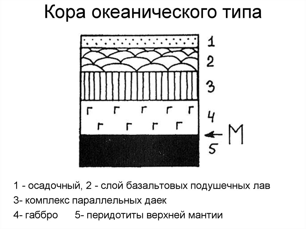 Схема строения материковой земной коры