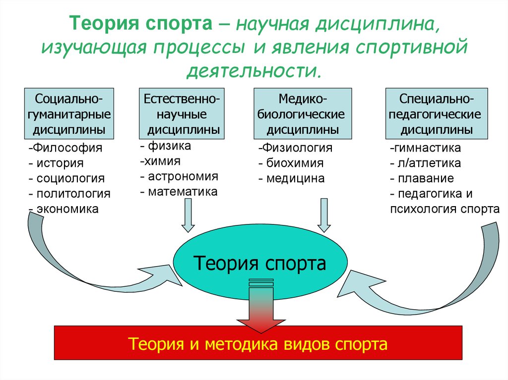 Занятие теория. Теория спорта. Этапы формирования теории спорта. Структура теории спорта. Теория спортивной деятельности.