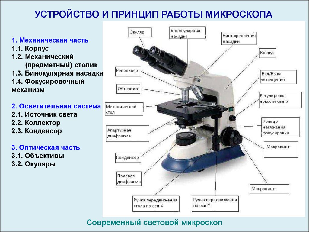 Какую функцию выполняет револьвер в микроскопе. Строение микроскопа Микмед. Оптический микроскоп строение. Строение микроскопа Levenhuk. Строение микроскопа Микромед-1.