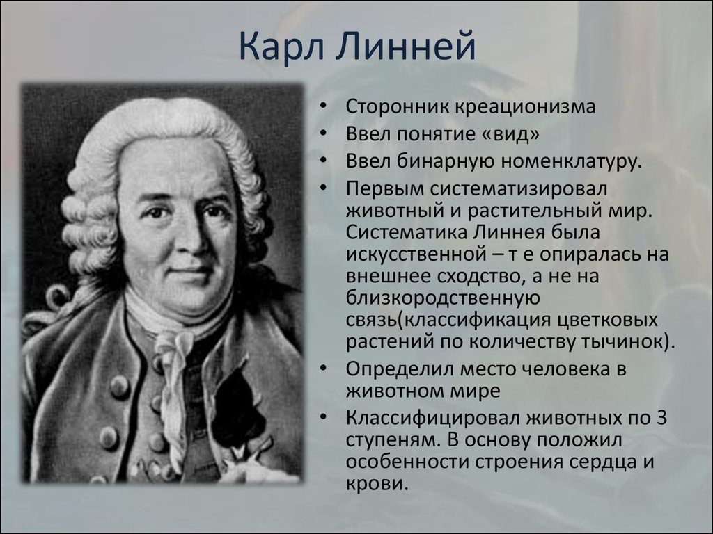 Биология термин вид. Линней ученый. Линней теория.