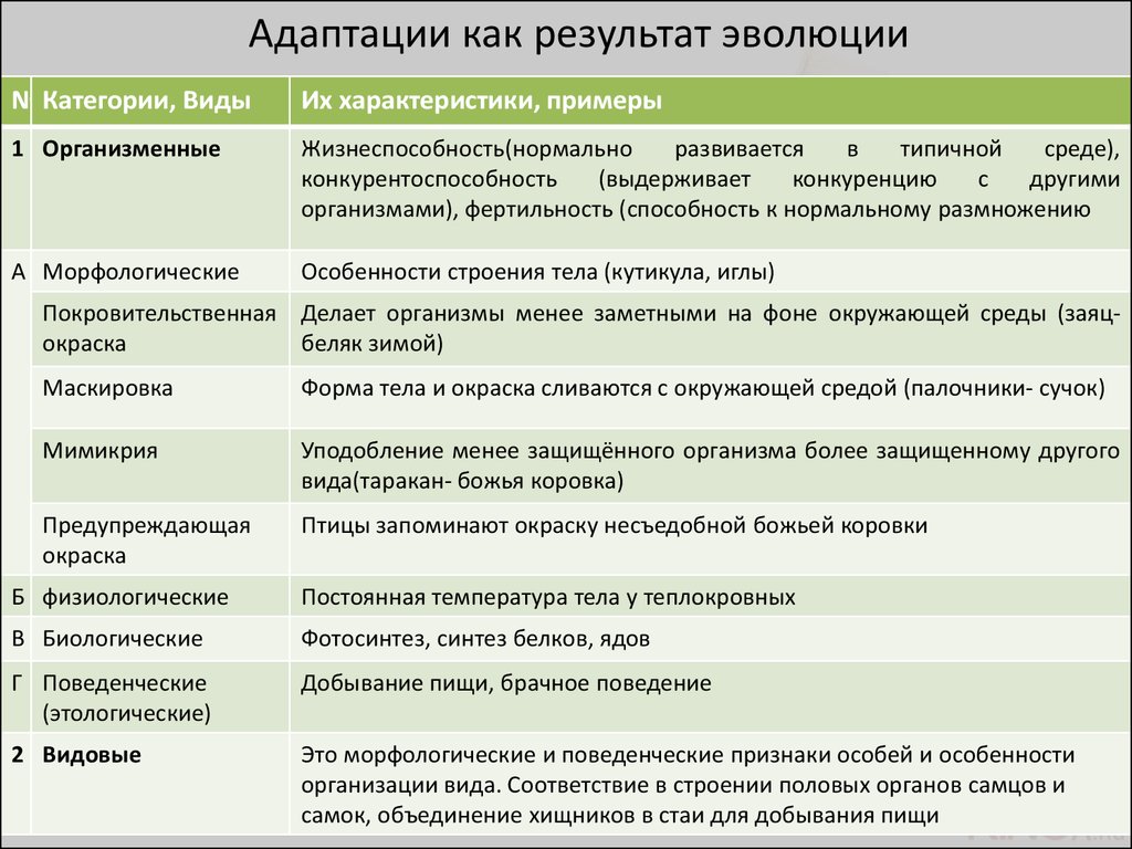 Схема результаты эволюции