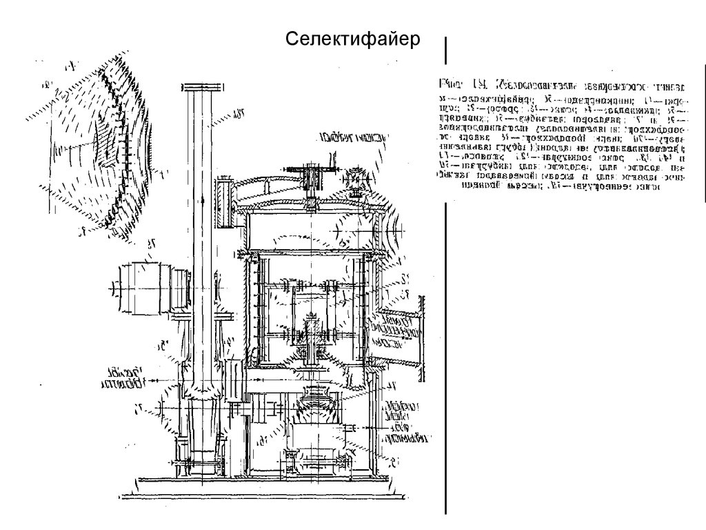 Селектифайер