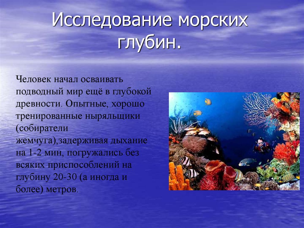 Морской мир кратко. Презентация на тему подводный мир. Сообщение про изучение морских глубин. Задачи на тему подводный мир. Исследование морских глубин.