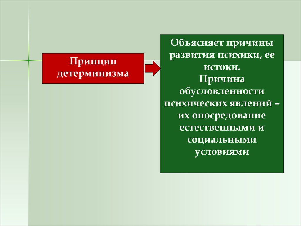 Принцип ориентированный. Принципы развития человека. Принципы психического развития. Периферические предпосылки развития психики человека. Принципы психического развития человека.