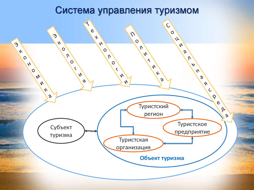 Управление по туризму. Система управления туризмом. Менеджмент в туризме. Система туристского региона. Система для туризма.