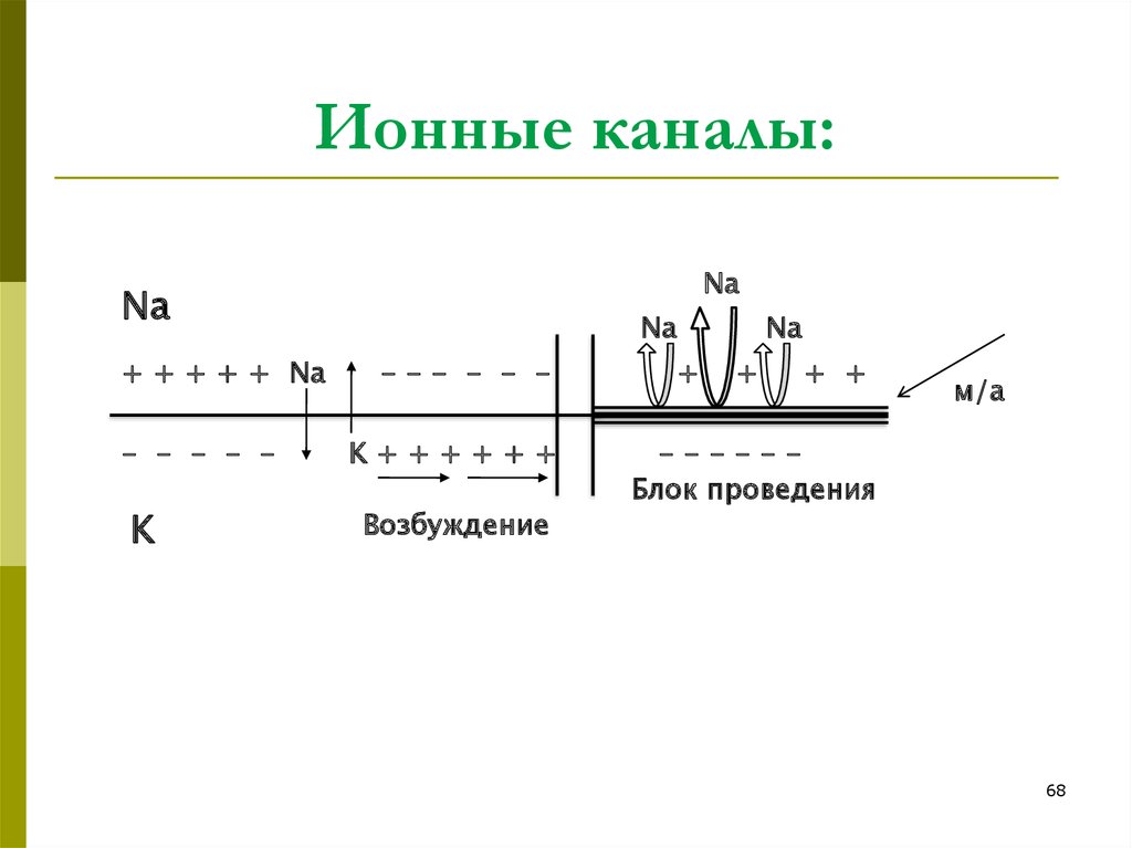 Блок каналы