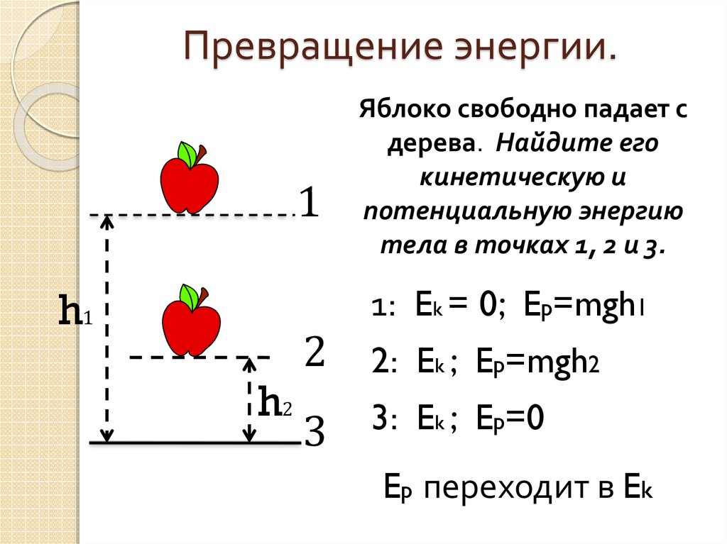Укажи превращение. Свободное падение яблока. Почему падает яблоко с дерева физика. Скорость падения яблока. Чертеж падающего яблока физика.