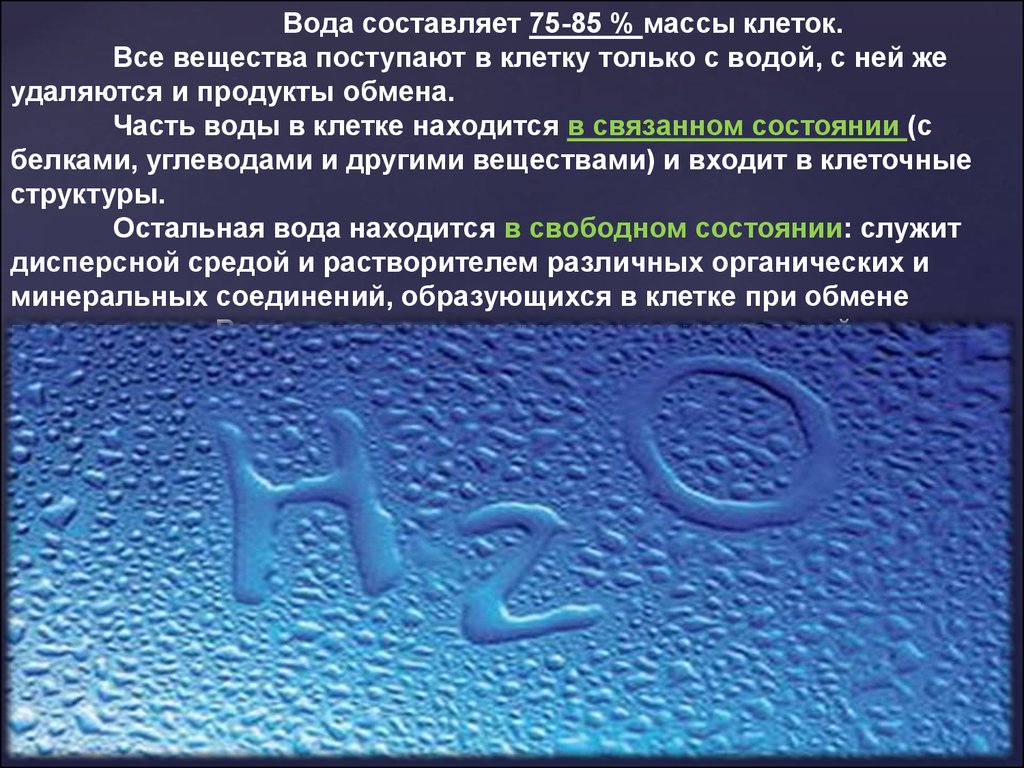 Вещества поступающие. Состояние воды в клетке. Вода составляет. Вода в клетке микроорганизма составляет. Водная составляющая.