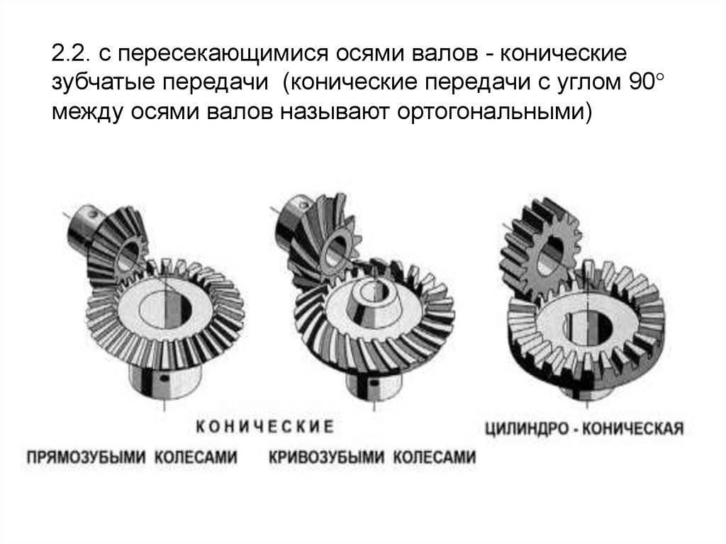 Сидячее зубчатое образование