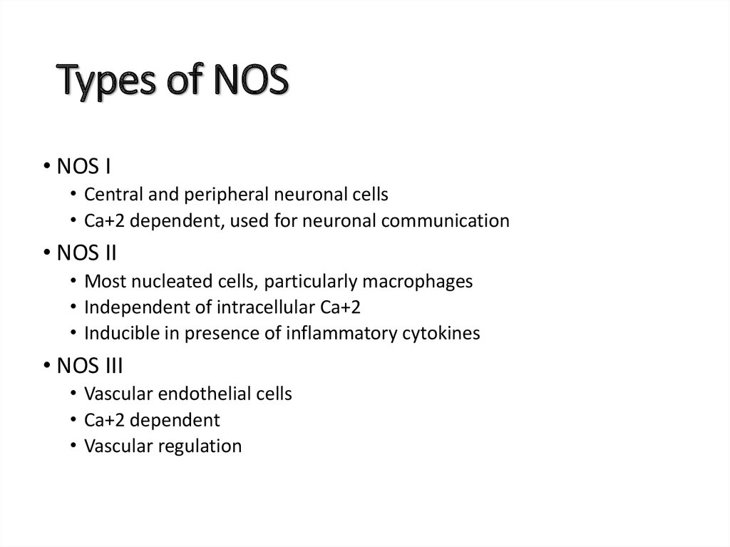Types of NOS