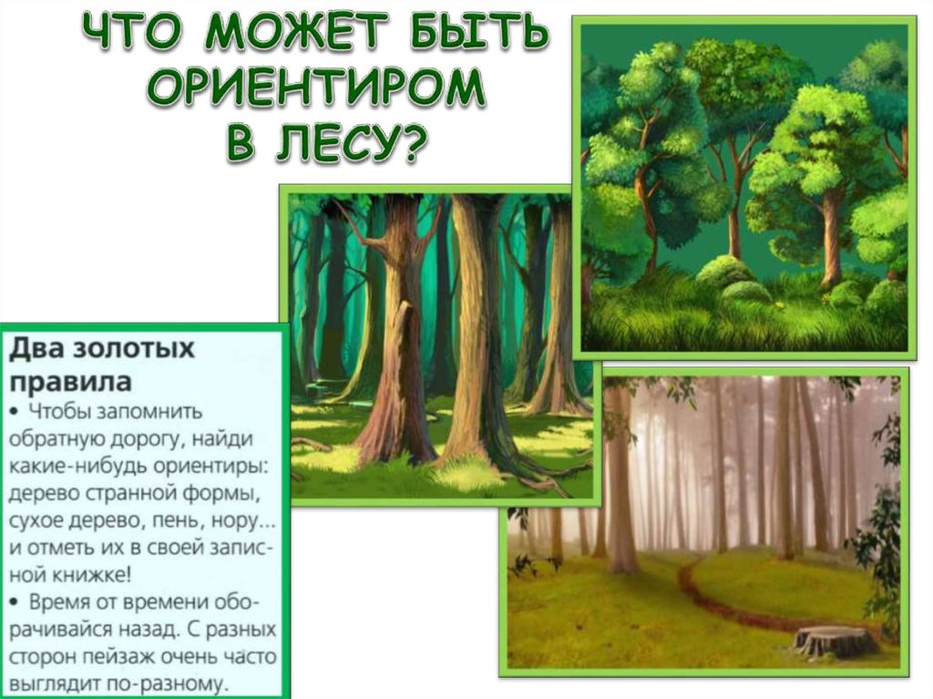 Morrowind как ориентироваться на местности