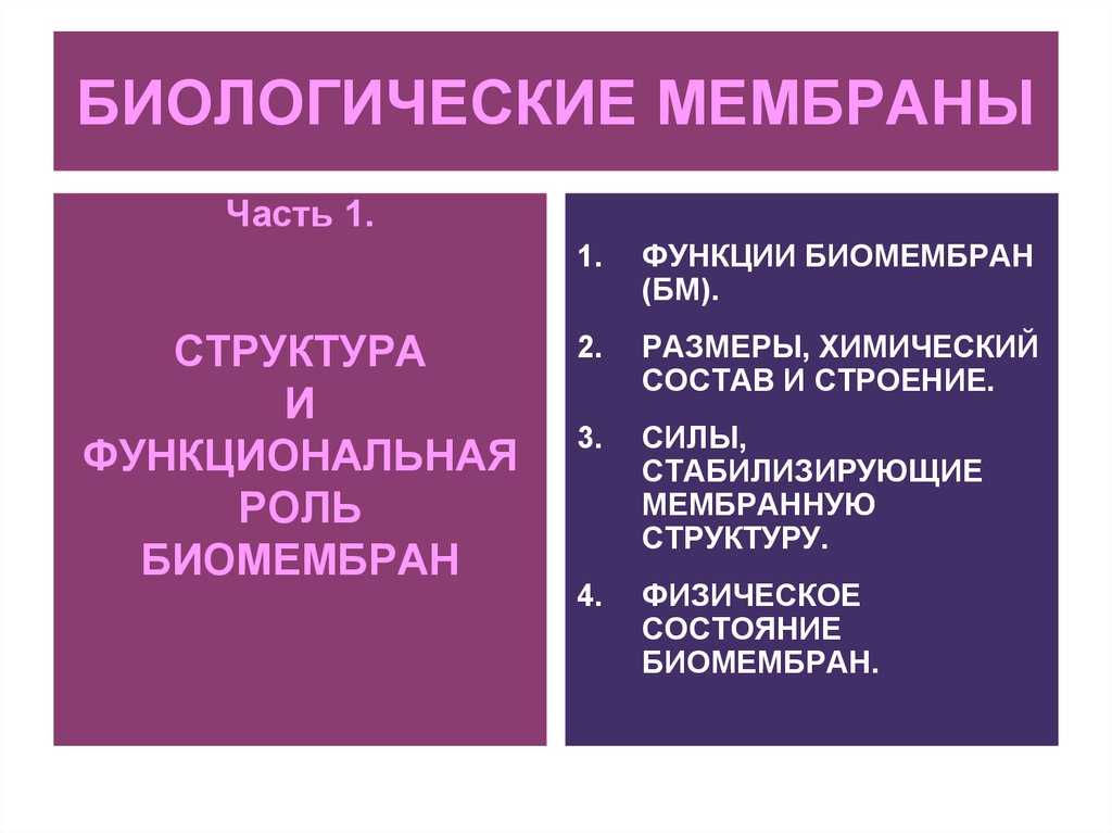 Биологические мембраны. Функции биологических мембран. Биологические мембраны выполняют функции:. Химический состав биомембран. Химический состав мембран.