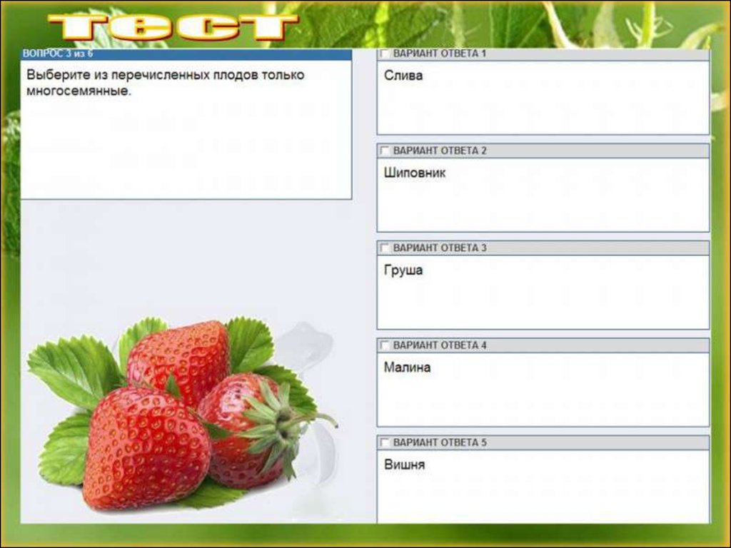 Выберите из перечисленных. Варианты ответов на вопрос что такое плод. Вопрос на ответ малина. Вопрос чтобы ответ был шиповник. Что такое плод составьте таблицу виды плодов и их организация 7 класс.