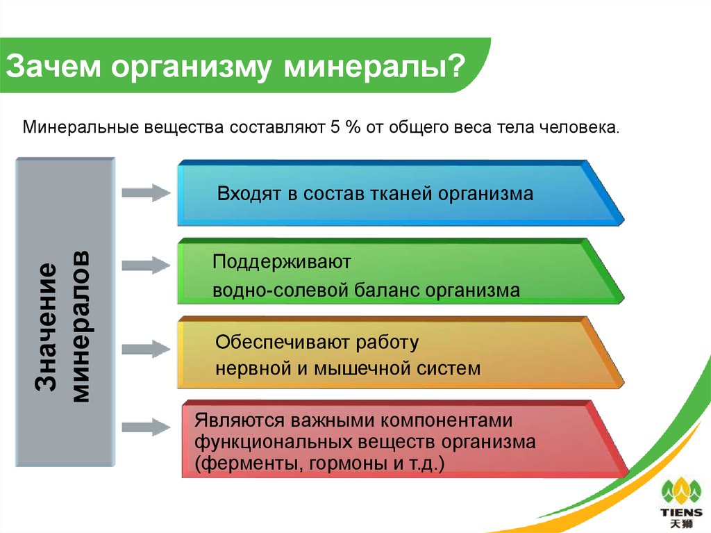 Зачем нужны организмы. Соотношение минералов в организме. Роль минералов в организме человека. Основная роль минералов в организме:. Зачем нужны минералы организму.