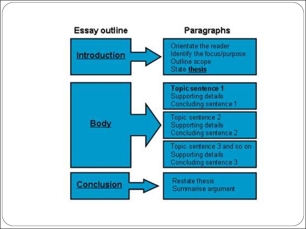 essay how to write body