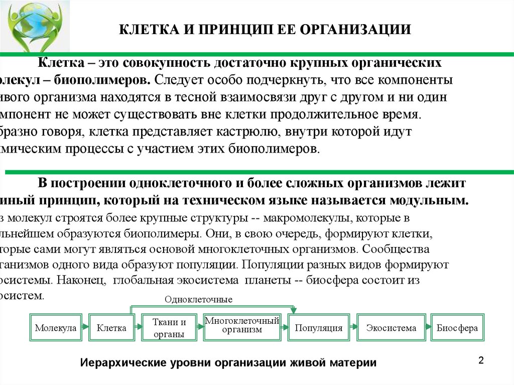 От чего зависят свойства биополимеров.