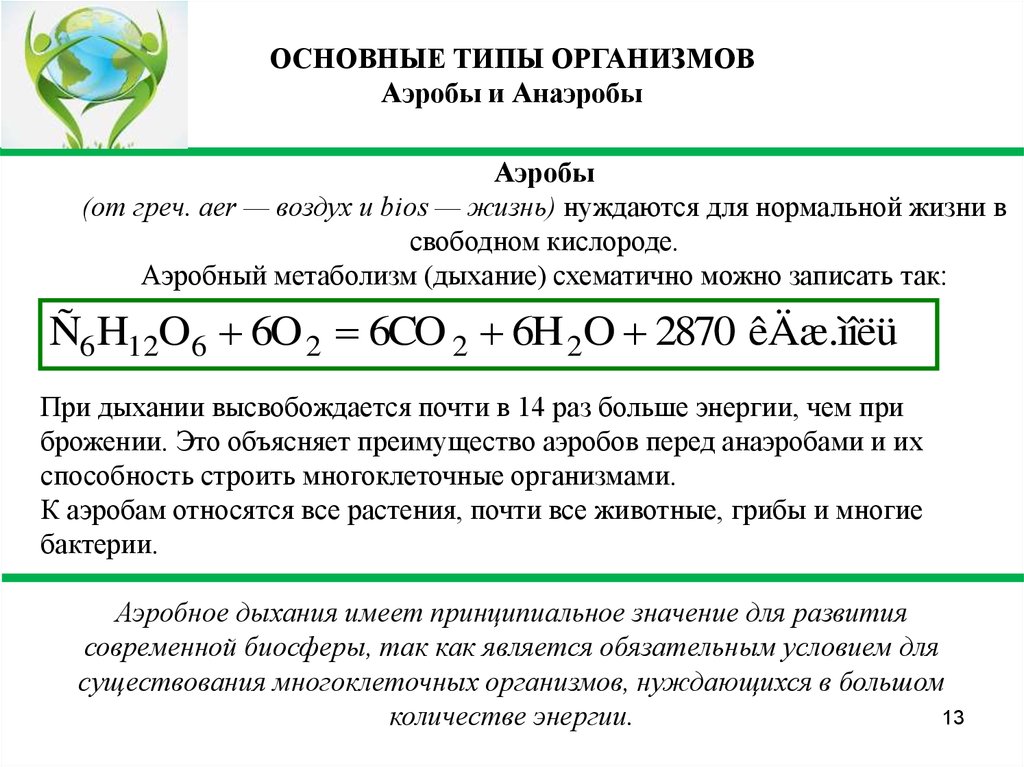 Дыхание аэробы и анаэробы. Основные источники энергии анаэробов и аэробов. Растения аэробы или анаэробы. В чём различия энергетического обмена аэробов и анаэробов.