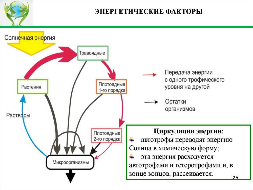 Факторы размещения энергии. Энергетический фактор. Циркуляция энергии. Энергетический фактор размещения производства. Энергетический фактор примеры.