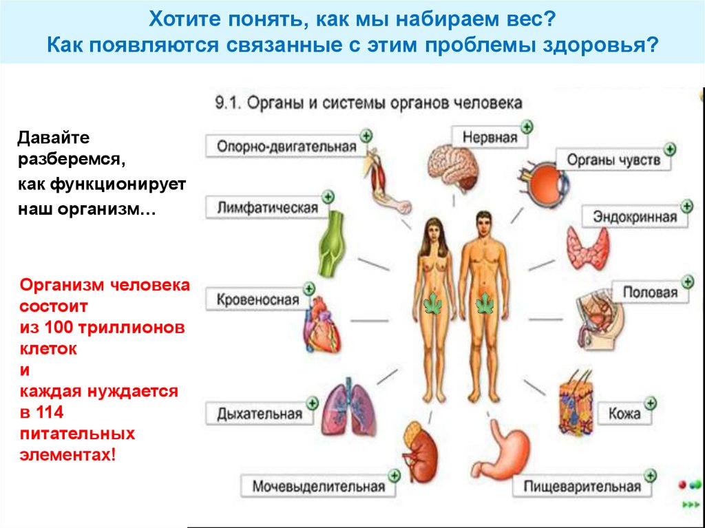 Болезни передающиеся половым путем таблица