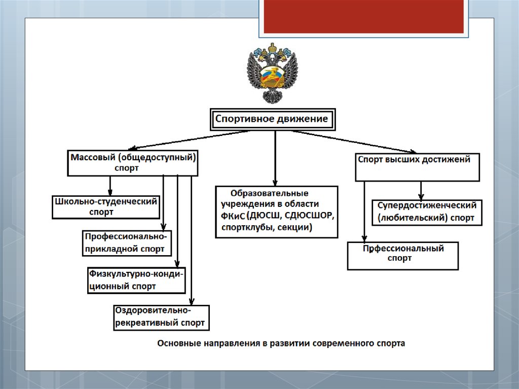 Схема управления спорта