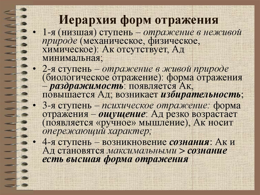 3 формы отражения