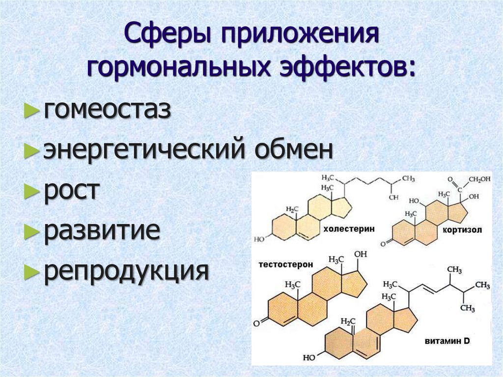 Холестерин тестостерон. Положительных эффектов гормонов. Эндокринное действие гормонов. Гормональный гомеостаз. Множественность гормональных эффектов.