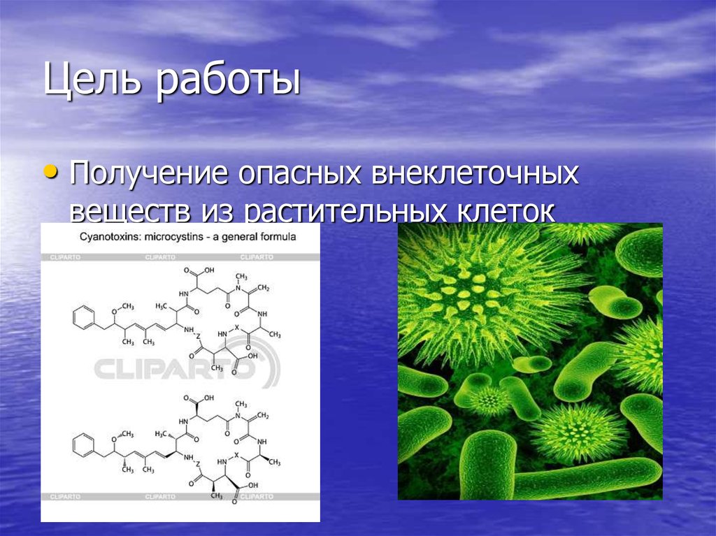 Получение опасный. Внеклеточное вещество. Клетка и внеклеточное вещество. Клеточная внеклеточная регенерация. Моделирование в гидробиологии.