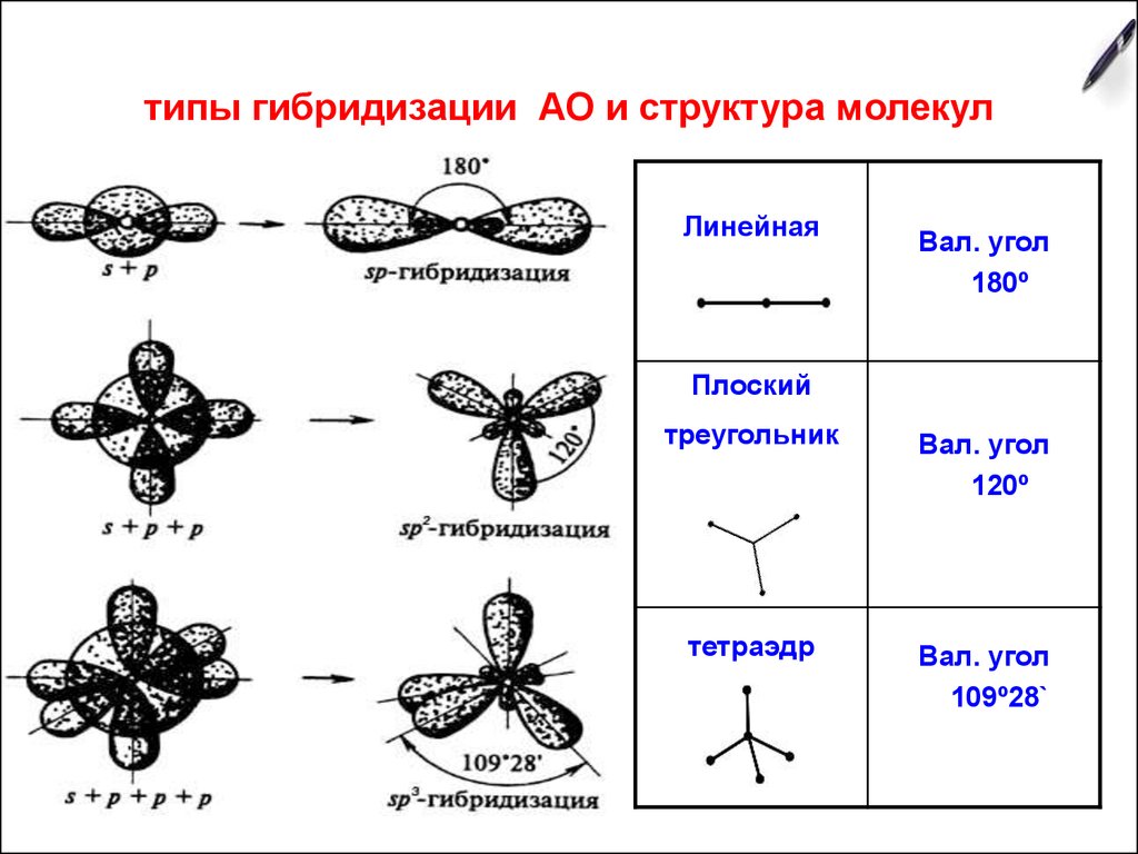 Типы гибридизации молекул. Krf2 Тип гибридизации. Типы гибридизации атомных орбиталей. Как определить гибридизацию молекулы. Линейное строение молекулы.