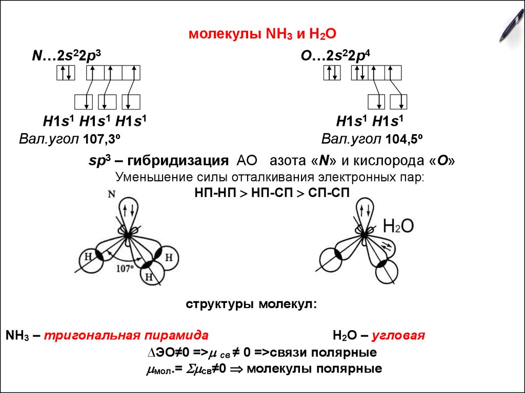 молекулы NН3 и Н2О