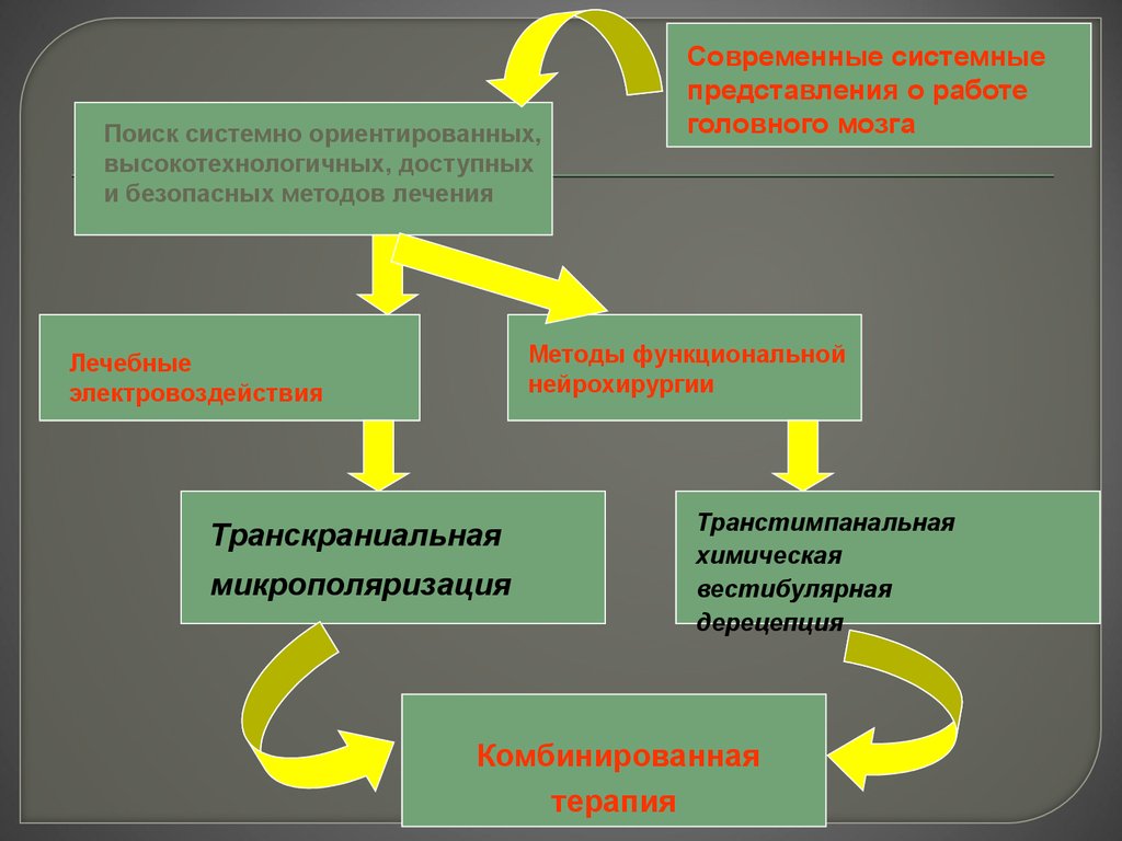 Системные представления. Нейрофизиологические методы исследования головного мозга. Электрофизиологические методы исследования головного мозга. Системные методы исследования мозга..