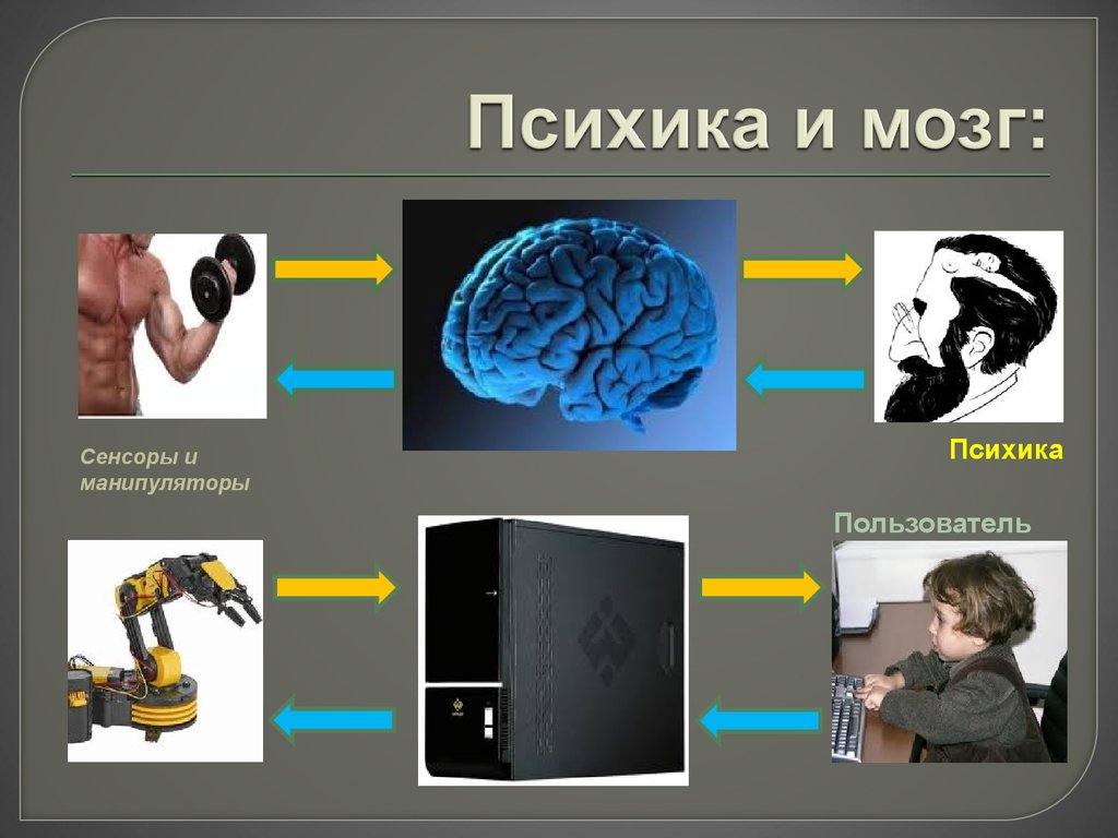 Мозги психика. Мозг и психика. Психика и мозг человека. Взаимосвязь психики и мозга. Мозг и психика кратко.