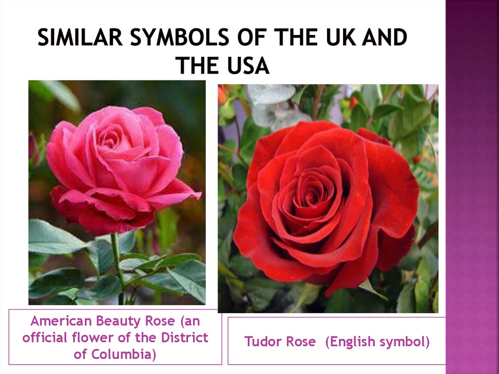 Similar symbols of the UK and the usa