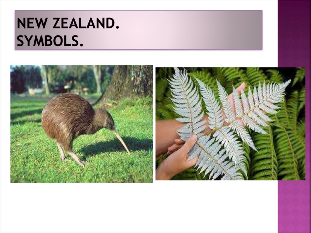 New Zealand. Symbols.