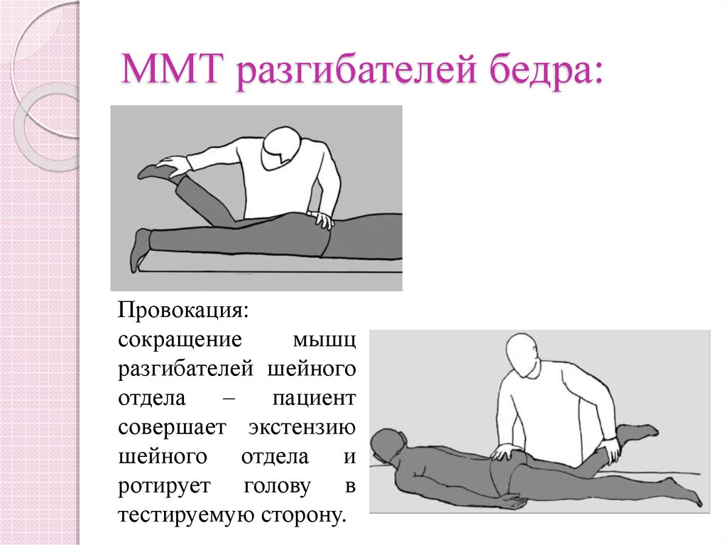 Мануальное мышечное тестирование презентация