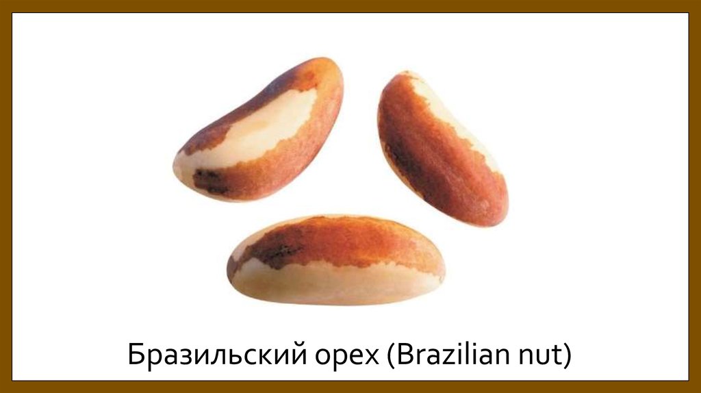Бразильский орех (Brazilian nut)
